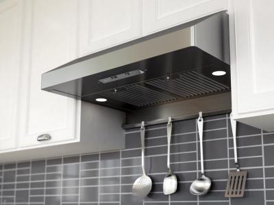 30" Zephyr Core Series Gust Under Cabinet Canopy Range Hood With Halogen Lighting - AK7100AS