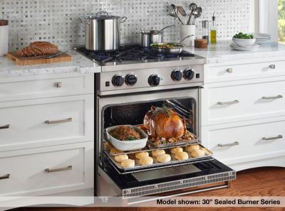 24" BlueStar Culinary Series (RCS) Sealed Burner Range - RCS24SBV2