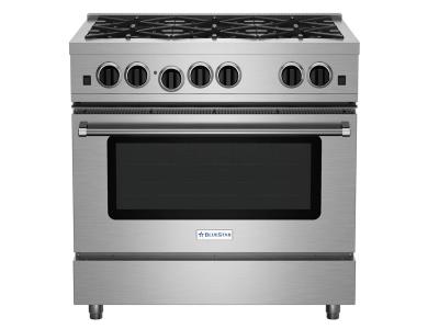 36"  BlueStar Culinary Series (RCS) Sealed Burner Range - RCS36SBV2