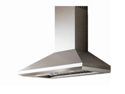 48" Elica Leone Wall Mount Range Hood in Stainless Steel  - ELN148SS